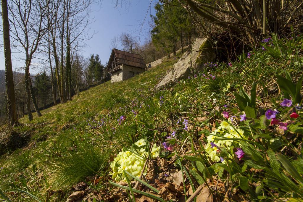 Casa Delle Noci Villa Grimacco Szoba fotó