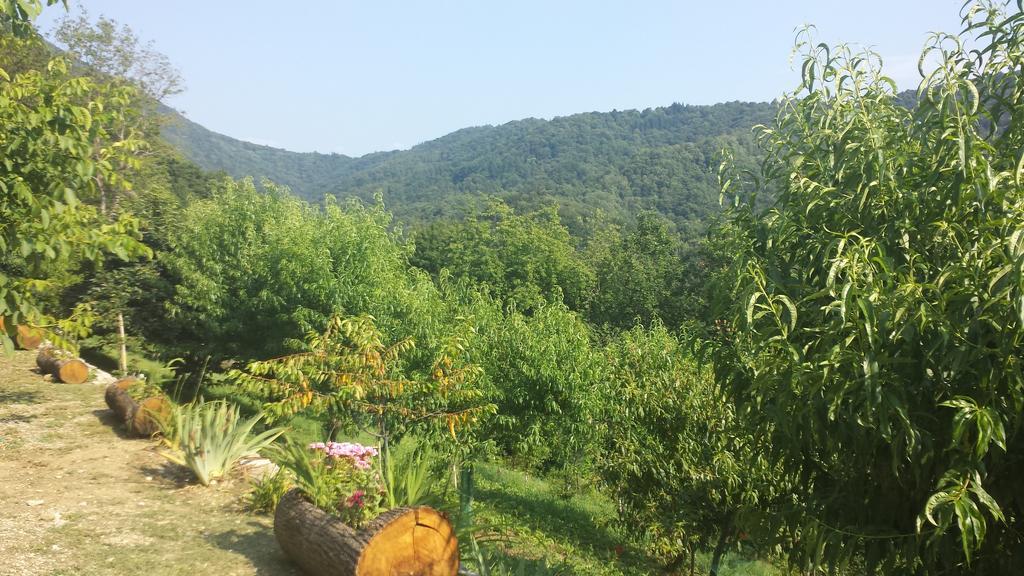 Casa Delle Noci Villa Grimacco Szoba fotó